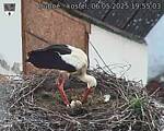 Capi_Dubne_20250506_195503.jpg