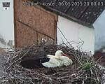 Capi_Dubne_20250506_200003.jpg