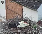 Capi_Dubne_20250506_200503.jpg