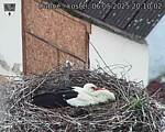 Capi_Dubne_20250506_201002.jpg