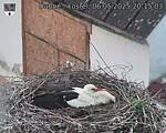 Capi_Dubne_20250506_201503.jpg