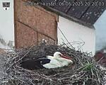 Capi_Dubne_20250506_202003.jpg