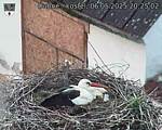 Capi_Dubne_20250506_202502.jpg