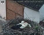 Capi_Dubne_20250506_204003.jpg