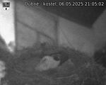 Capi_Dubne_20250506_210502.jpg