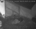 Capi_Dubne_20250506_211002.jpg