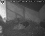 Capi_Dubne_20250506_211503.jpg