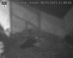 Capi_Dubne_20250506_214002.jpg