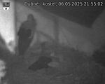 Capi_Dubne_20250506_215502.jpg