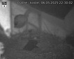 Capi_Dubne_20250506_223002.jpg