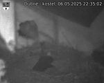 Capi_Dubne_20250506_223502.jpg