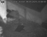 Capi_Dubne_20250506_230003.jpg