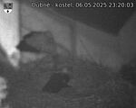 Capi_Dubne_20250506_232003.jpg