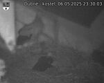 Capi_Dubne_20250506_233003.jpg