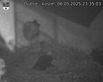 Capi_Dubne_20250506_233503.jpg