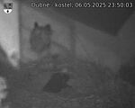 Capi_Dubne_20250506_235003.jpg