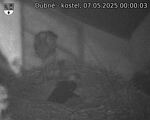Capi_Dubne_20250507_000003.jpg