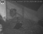 Capi_Dubne_20250507_001503.jpg