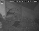Capi_Dubne_20250507_003503.jpg