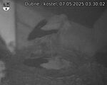 Capi_Dubne_20250507_033002.jpg