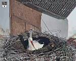Capi_Dubne_20250507_072504.jpg