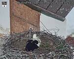 Capi_Dubne_20250507_090503.jpg