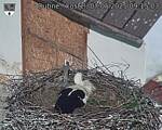 Capi_Dubne_20250507_091503.jpg