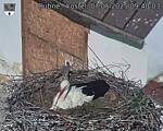 Capi_Dubne_20250507_094003.jpg