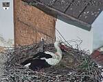 Capi_Dubne_20250507_095503.jpg