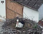 Capi_Dubne_20250507_120503.jpg