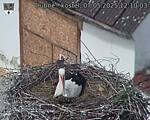 Capi_Dubne_20250507_121003.jpg
