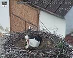 Capi_Dubne_20250507_121502.jpg