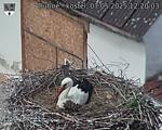 Capi_Dubne_20250507_122003.jpg
