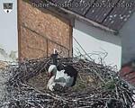 Capi_Dubne_20250507_123002.jpg