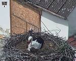 Capi_Dubne_20250507_123503.jpg