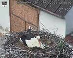 Capi_Dubne_20250507_125502.jpg