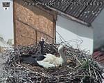 Capi_Dubne_20250507_134003.jpg