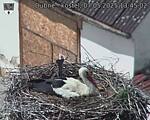 Capi_Dubne_20250507_134502.jpg