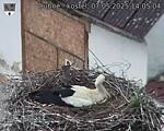 Capi_Dubne_20250507_140504.jpg