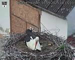 Capi_Dubne_20250507_141503.jpg
