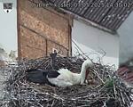 Capi_Dubne_20250507_143002.jpg