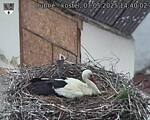 Capi_Dubne_20250507_144002.jpg