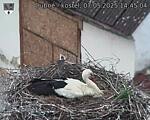 Capi_Dubne_20250507_144504.jpg