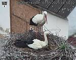 Capi_Dubne_20250507_145002.jpg