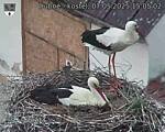 Capi_Dubne_20250507_150502.jpg