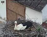 Capi_Dubne_20250507_152002.jpg