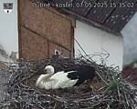 Capi_Dubne_20250507_153502.jpg