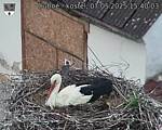 Capi_Dubne_20250507_154003.jpg