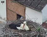 Capi_Dubne_20250507_154502.jpg