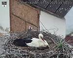 Capi_Dubne_20250507_155003.jpg